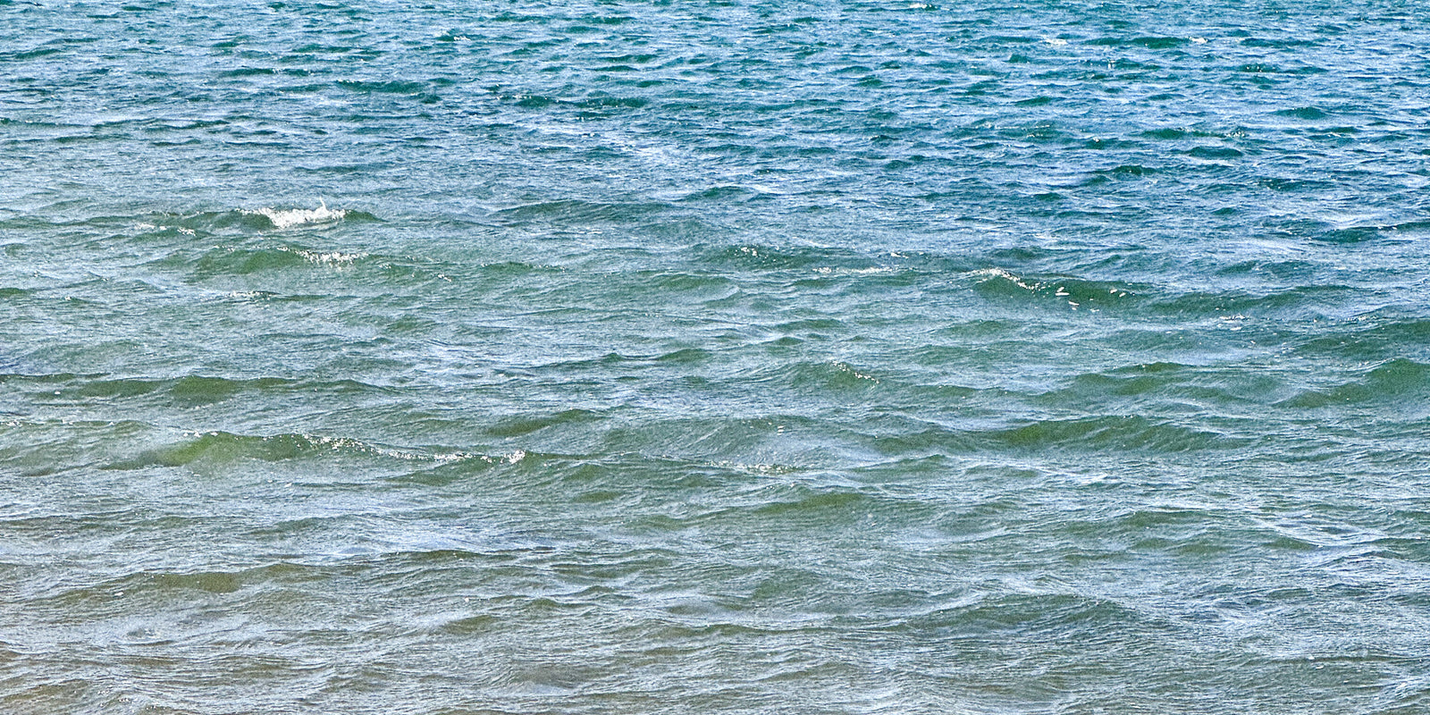 Welcome | Our Journal