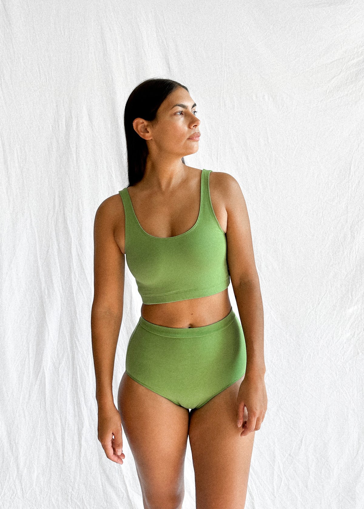 Support Brief Grass